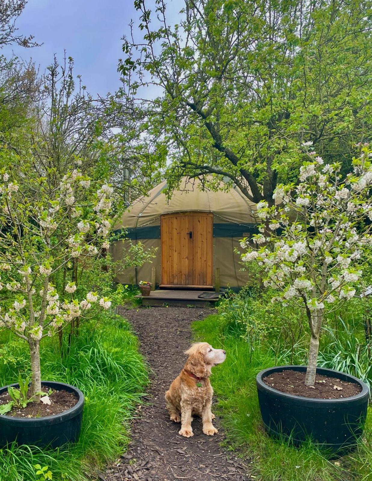 Hotel Stamford Meadows Glamping With Private Hot Tubs Zewnętrze zdjęcie